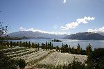 NZ