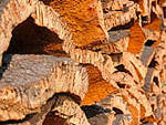 Cork